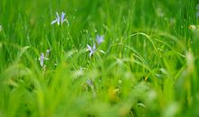 咸鱼翻身的三大生肖，2月份“财大气粗”！