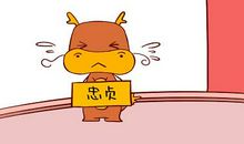 属牛女和属龙男相配指数如何？相爱相杀的组合！