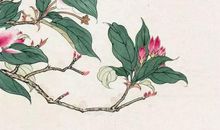 2020年农历闰四月二十六出生的男孩怎么起名字，五行属什么