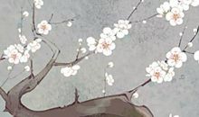 2020鼠年五行属什么，2020年出生的人五行属金