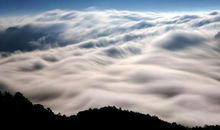 优雅迷人，娇媚可爱的4个星座，招人疼，惹人爱