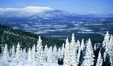 11月出人头地，富贵有余，横财大赚的4大生肖