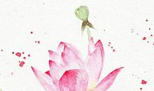 2020年2月生肖属虎人的感情运势暗藏危机，心有芥蒂