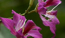 11月15号要钱有钱，从此富贵的生肖，全家上下得福，幸福相伴