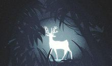 发横财的预兆风水上怎么解释