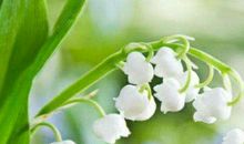 2019年财运特别旺，不为钱发愁的生肖，钞票花不完，福禄双全