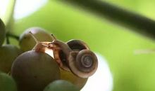 29号喜事如雨，30号喜上加喜，4生肖，年前有贵人，年后有财神