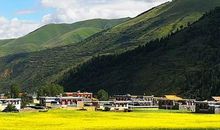 11月好运当头，运势飙升，财运红火的四个生肖