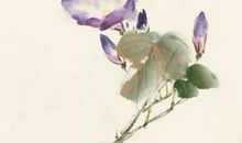 2020年7月出生的宝宝五行缺什么,五行缺失补充办法