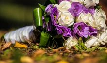 2020年4月生肖属猪和生肖属猪适合结婚的吉日