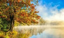 11月运势中天，福源深厚，财运旺盛的4个生肖