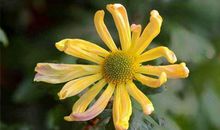 12月财运大翻盘的3生肖，事业棒，生意旺，“钱”程似锦！