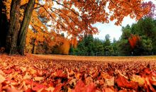 家和万事兴，与别人吵架，不把怨气撒在家人身上的星座