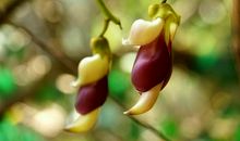 3月15号起吉星照耀，运势春风得意，喜事出门就有的四属相