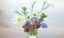 知你冷暖，还懂你内心悲伤，温柔到心坎的星座