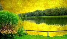 11月双喜临门，富贵盈门，大有福报，财源滚滚的4个生肖