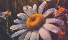 3月好运到来，得罪不起的4生肖，顺风顺水，添丁添财