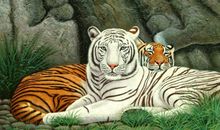 这三大生肖不能招惹的，他们转运之后谁也挡不住