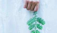 遇到不开心的事，血型会被情绪驾驭吗