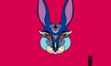 属兔是哪一年出生的