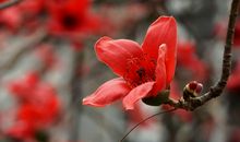 3月下旬吉星照耀，鸿运滚滚来，霉运散尽横财来的四属相