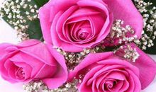 未来15天财运说来就来，不再劳累奔波的生肖，全家生活乐呵呵