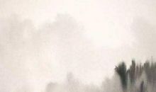 2020年农历五月出生的鼠宝宝高分名字推荐