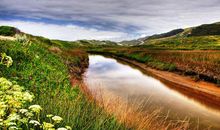 11月双喜临门，富足多金，事业桃花两旺的五大生肖