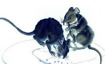 玄清风水命理：未来2年，贵人指点帮忙，成绩斐然 ，事业爱情双丰收的3大生肖