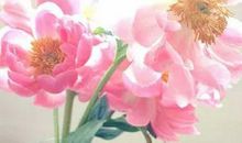 2020年农历十一月和十二月生肖属龙和生肖属马适合订婚的好日子