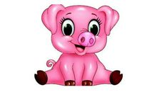 生肖猪和生肖鸡的合财吗？