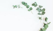 立冬开始，喜从天降！3生肖鸿运缠身，脚踩“狗屎运”一发发大财，想啥就来啥