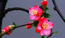 3月11号开始钱财滚滚来，财神赐财，贵人赐运，发横财中大奖的五大生肖