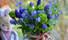 1984年的生肖何时好运(图文)