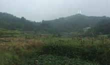 原创 风水大师王君植湖南长沙看风水寻龙点穴实拍，这就是标准的风水宝地典范