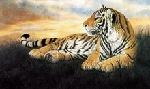 11月25生肖运势，财运十分惹眼，随处可见的赚钱的机会令你美滋滋