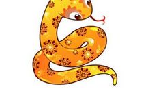 生肖蛇和生肖龙的合财吗？