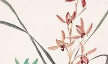 2020年5月21号四月二十九日生的男孩命运好吗，取什么名字好