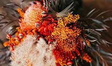 2020年农历八月,九月和十月生肖属鸡和生肖属狗订婚吉日精选