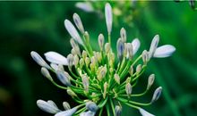 大年初一开始，年前惹不起，年后开口笑的4生肖想不富都难！