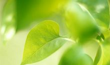 8号开始，天天笑哈哈！11月前有贵人，后有鸿运，“狗屎运”缠身，睡着都笑醒