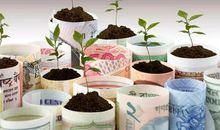 11月4号家族兴旺，霉运散尽好运来，万贯家财数不清的四大生肖