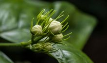 3月将迎来好运势，福似旭日，财似春潮，注定要发达的生肖！