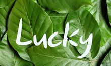 哪些星座有咸鱼翻身的机会