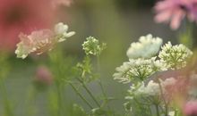 老天在偷偷奖励这3个生肖人，3月普普通通，4月富贵加身！