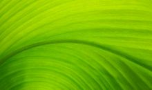 8号开始，前有贵人、后有鸿运，3生肖，运势喜洋洋，用麻布袋装大钱