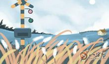 双手都是川字掌的女人性格如何