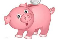 生肖猪和生肖牛的合财吗？