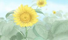 著名的潜意识测试题 潜意识测试真实自己