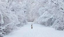 2019猪年大雪可以乔迁新家吗？大雪节气习俗(图文)